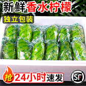 广东香水柠檬新鲜一级果应当季 水果海南无籽青柠檬奶茶店专用9斤