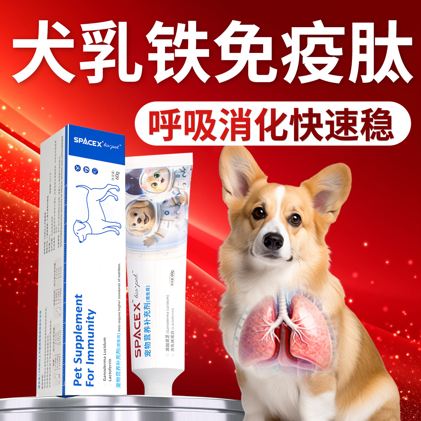 SPACEX星舰酷宠狗呼吸道喘气犬窝感咳染肺不畅灵芝乳免疫球蛋白嗽