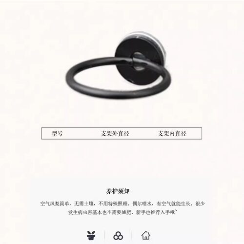 空气凤梨磁吸无土植物冰箱贴手工配件底座磁吸环