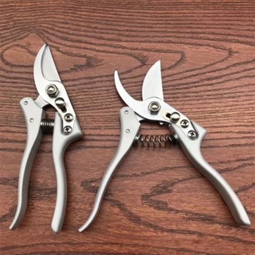 省力修枝剪刀修剪园林花店园艺花木果树树枝粗枝剪摘果