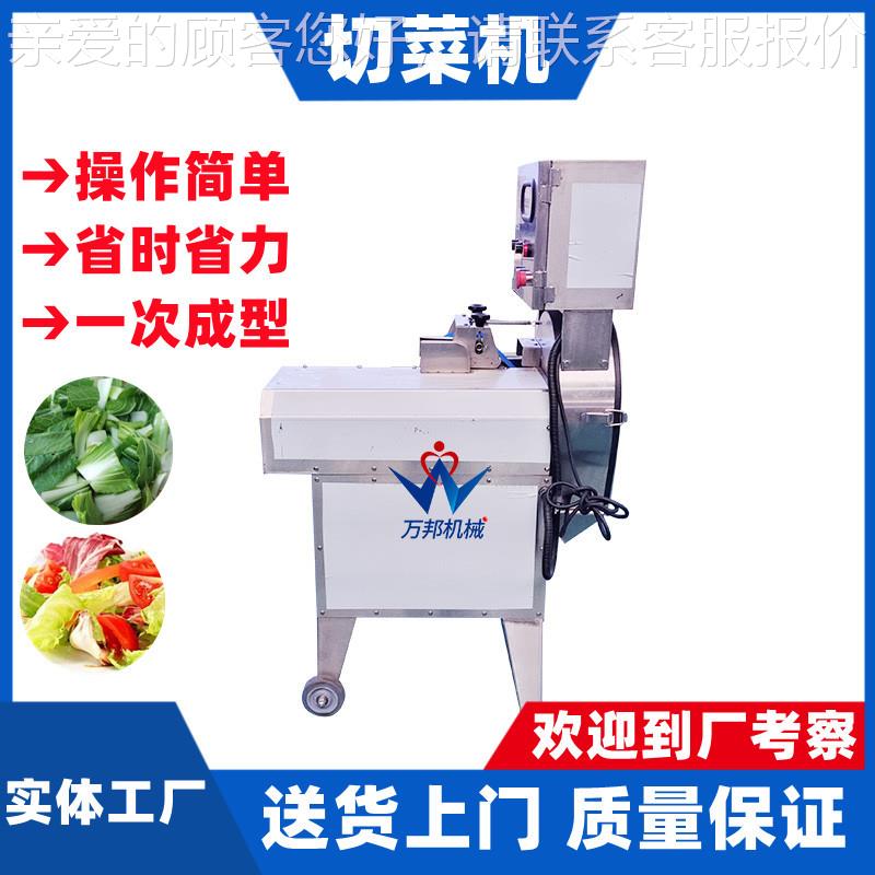 现货食豆堂用FNY叶菜切菜机 豆切段机变频输送带芸长角切 段机