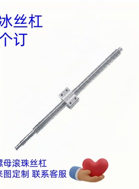 RBSA RBSAF1505 1510 2005 2010 2505 2510 0601滚珠丝杠块状螺母