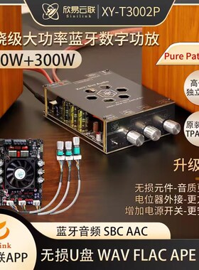 T3002P升级版300W*2蓝牙数字功放板模块高低音调节进口TPA3255