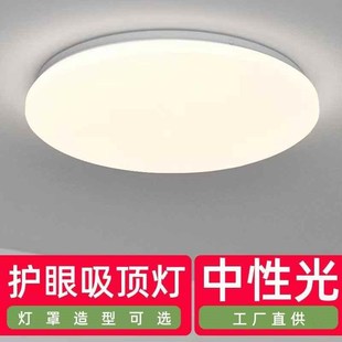 中性光吸顶灯4000K/护眼灯客厅灯卧室灯阳台灯楼道灯全白灯工程灯