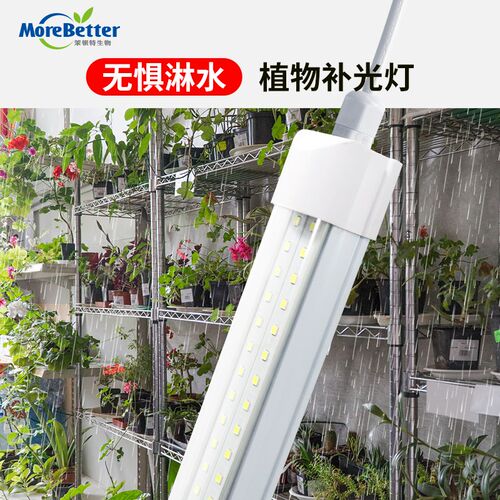 茉钡特生物防水IP65级全光谱T8LED植物补光生长灯管热植蔬菜防淋