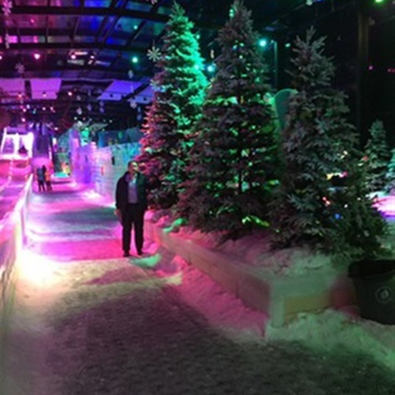 圣诞树仿真诞雪树高档PE+PVC雪花圣F诞树1.5米雪景圣诞树乐园造景