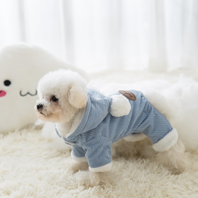 宠物春款a衣服新款泰迪博美小型犬秋冬加厚款四脚衣猫咪小狗狗棉