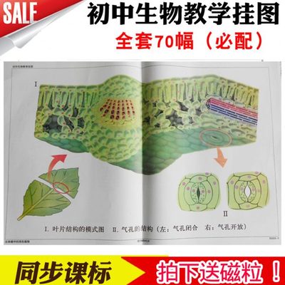 初中生物教学挂图全套含必配70幅铜版纸对开动物植物人仪器送磁粒