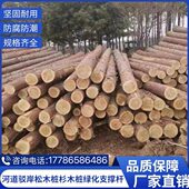 松木桩防汛木桩圆木打桩木河道护岸原木杉木户外绿化支撑杆杉木桩
