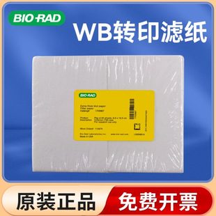 转印纸 1703932伯乐原装 Western blot转印转膜湿转厚滤纸1703965