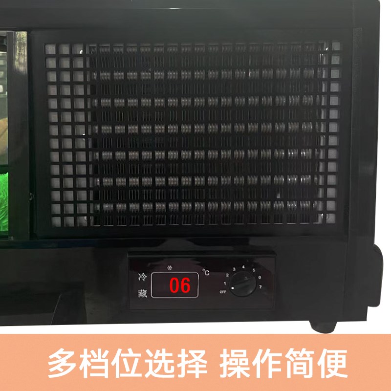 商用寿司三文鱼刺身冷藏保鲜柜台式单层料理柜水果食品展示柜