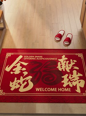 红色蛇年入户门地垫玄关家用耐脏免洗地毯大门口进门脚垫定制门垫