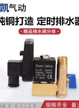 精品全铜RPT-16A 电子排水阀 4分自动排水阀 1/2空压机定时排水器