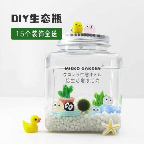 海藻球生态瓶桌面宠物办公室趣味水培微景观宿舍小礼物懒人植物