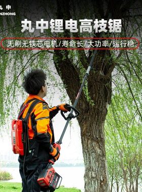 PSE800S丸中（WANZHONG）锂电高枝锯充电电动高空修枝锯市政专用