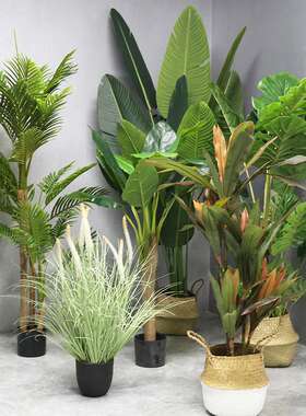 仿真绿植盆栽仿真树仿真植物室内大型假盆景装饰摆件散尾葵
