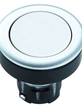 RAFI带灯RAFIX16金属银灰色按钮开关1.30.090.082/0000