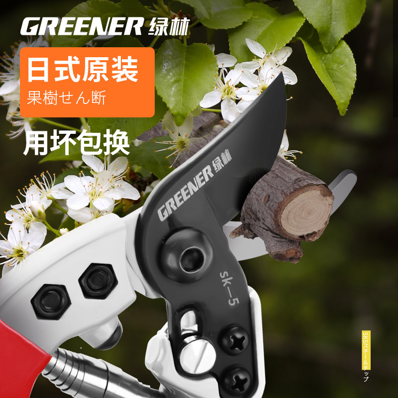 日本原装进口修枝剪果树剪树枝专用剪刀园艺花剪花艺枝条剪刀出口
