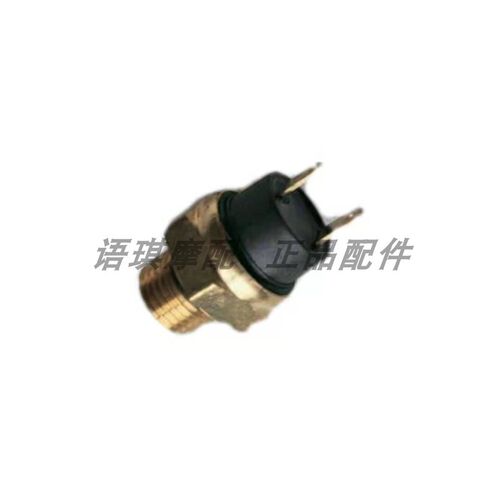 贝纳利黄龙BJ600GS 300 小黄龙250-15出水温温控开关 2插头配件