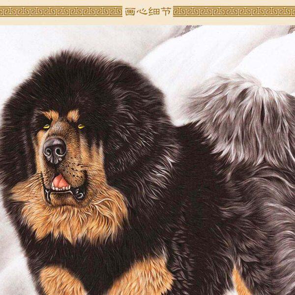 藏獒图 雪域雄风宠物狗犬动物画卷轴挂画 书房客厅装饰画定制订做