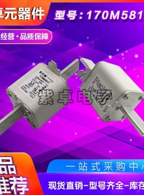 170M5922 170M5923 170M5924 170M5925 170M5926巴斯曼快速熔断器