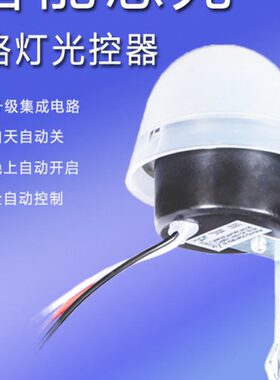 光控开关天黑全自动亮路灯光感光敏光线感应感光控制器220V12V光