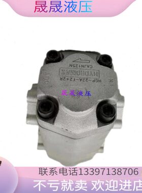Dekema德克玛齿轮泵GPY-6-RX4B GPY/HGP-F2/3/4/8/9/11.5/12-RX4B
