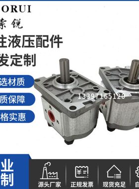 河北索锐液压CBN-F306/308/310/312/314/316/320/325高压齿轮泵