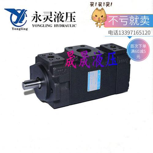 PV2R11-25/4 6 8 10 12 14 17 19 23 25 28 31F1 F永灵YLC叶片泵