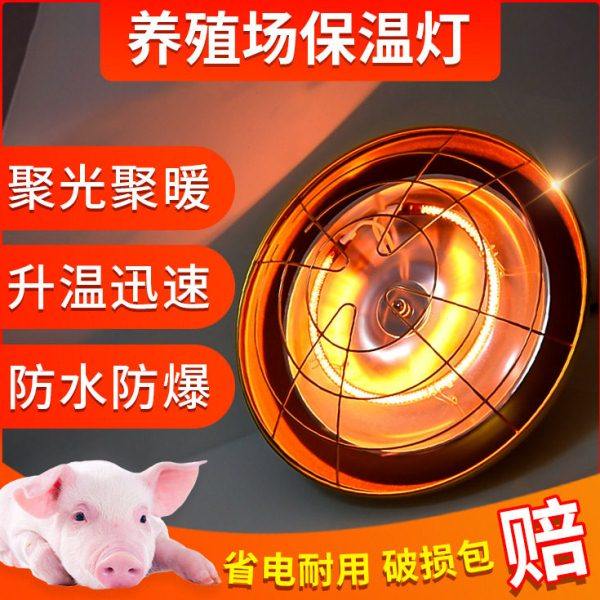 保温灯养殖场专用可调温度兽用取暖灯罩猪用小鸡育雏仔猪防水卤素,农机/农具/农膜,农用防护器具,淘宝优惠券,粉丝福利购,淘宝优惠卷