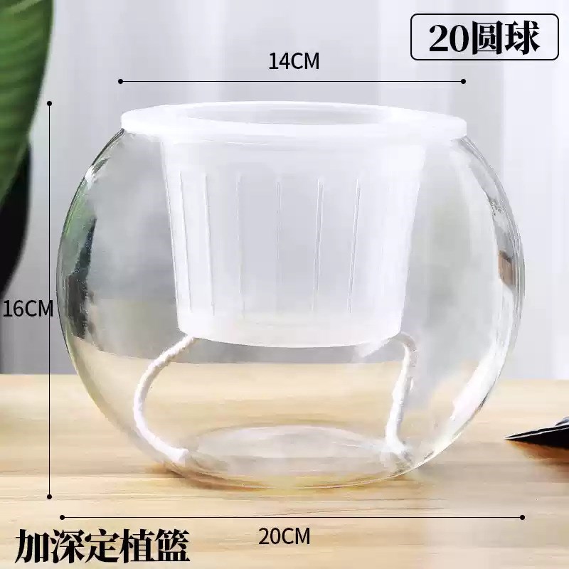 简约现代水培植物玻璃花瓶水养圆球玻璃插K花器皿客Y厅桌面装饰摆