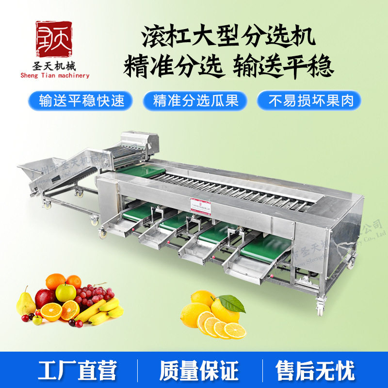 龙眼荔枝分选机商用 土豆西红柿分级机工厂用滚杠式芒果选果机