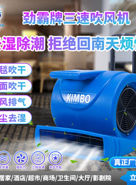 劲霸牌AS-900三速吹风机大功率酒店地毯吹干机商场超市去湿