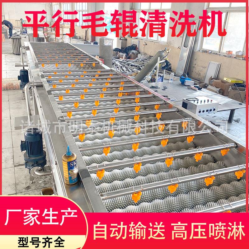 贝壳类海鲜平行毛辊清洗机海蛎子扇贝清洗去杂设备柑橘金桔洗果机