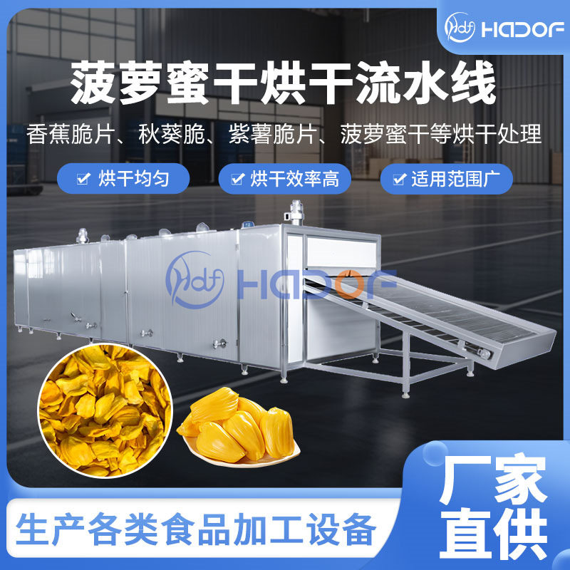 菠萝网带式连续干燥机 猕猴桃干烘干流水线 果脯无花果烘干机厂家