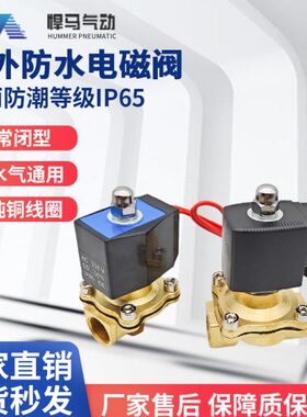 室外防水全铜电磁阀2W160-15D水阀开关气阀220v24v4分6分1寸半2寸