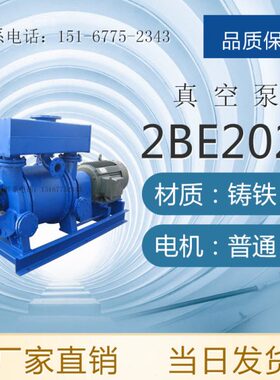 2BE203/2BE252/2BE253/2BE303/2BE353大型水环式真空抽气泵