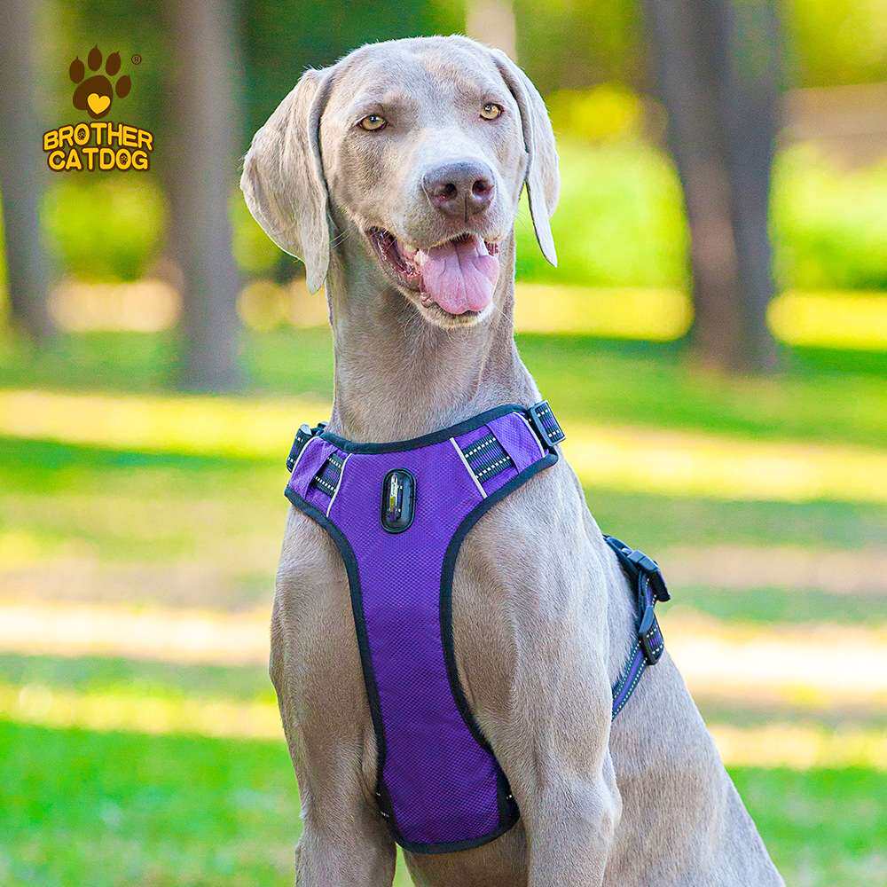 亚马逊热销狗胸背带大型犬牵引绳中型犬大狗牵引绳阿拉斯加狗背带