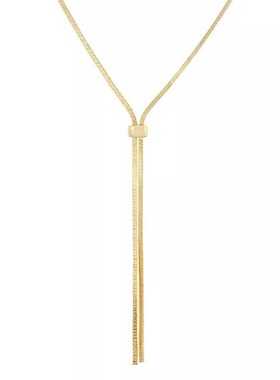 欧美时尚抽拉长款项n链女小众轻奢设计高级感蛇骨链简约百搭毛衣