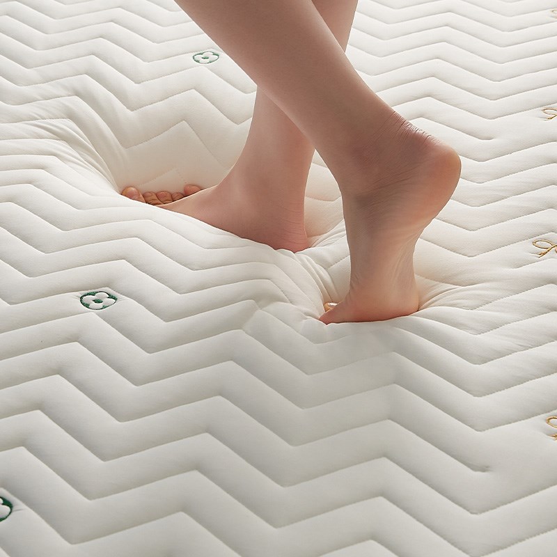 乳胶床垫软垫家用记忆棉卧室加厚保暖高密度榻榻米海绵垫褥子秋冬