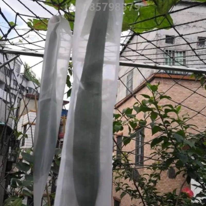 树网袋套袋无花果网罩丝瓜网袋瓜果防虫保护葡萄专用水果袋网套套