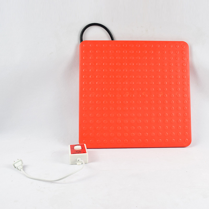 宠物保温板 兔子加热板小狗用电热板 蛇保温小型动物取暖设备包邮