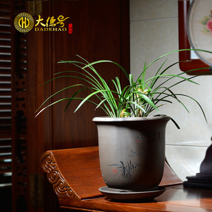 花盆紫砂兰花盆宜兴陶瓷君子兰草盆红掌绿萝盆栽花卉多肉绿植托盘