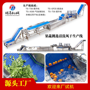 生产线 包装 桔子梨苹果清洗加工 水果加工 大型清洗生产线
