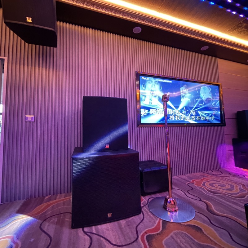 专业10寸音箱沐足卡拉OK舞台家庭影院会议室音响 家庭KTV音箱套装