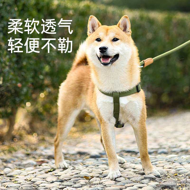 狗狗牵引绳胸背脖圈带背心式遛狗绳子小型中型犬宠物泰迪栓狗链子