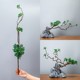 仿真绿植迎客松植物树枝造景客厅室内酒店餐厅装 饰小摆件假花盆栽