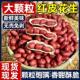 2025红皮花生新货东北原味花生带壳炒熟农家生 柴火铁锅炒货花生