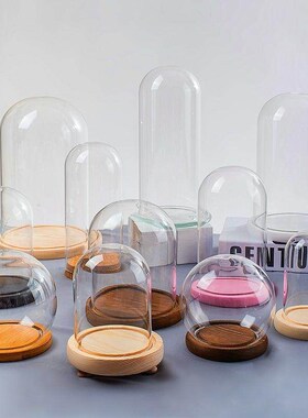 小号玻璃瓶昆虫标本展示核桃葫芦迷你圆顶木塞透明防尘罩子