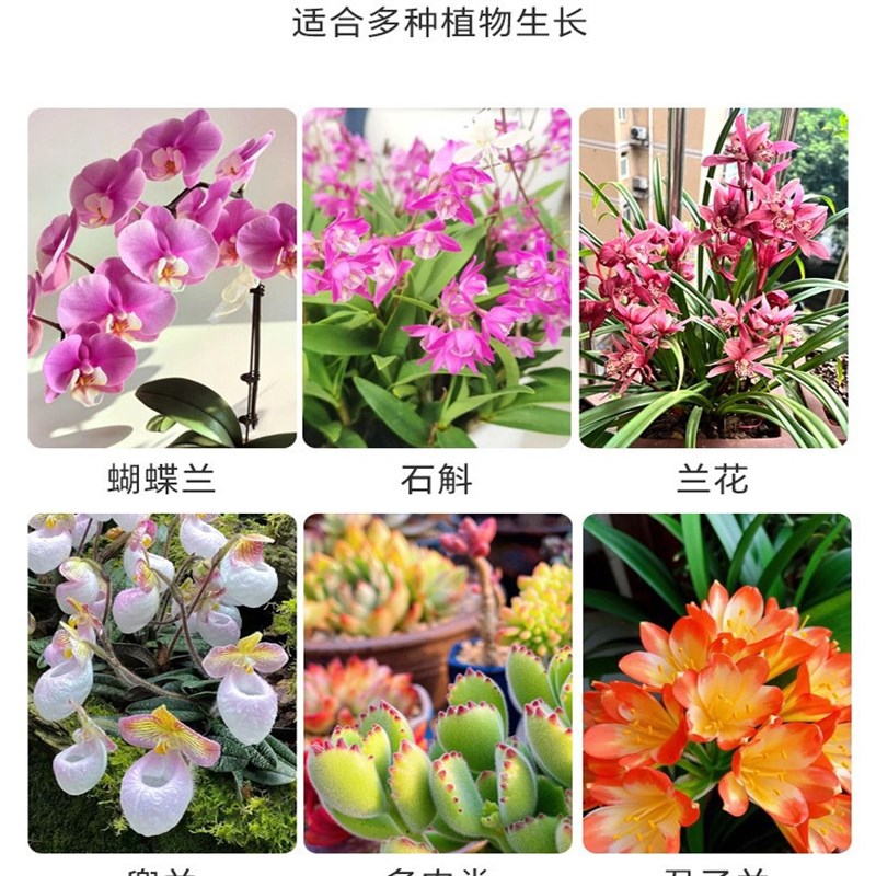 水苔蝴蝶兰花盆透明青山控根盆加厚大号透气兰花塑料花盆家用